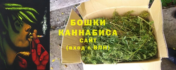 крисы Богданович